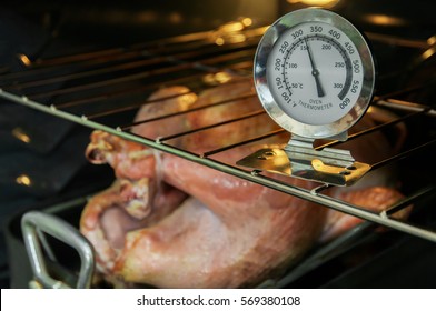 Turkey In Oven With Thermometer