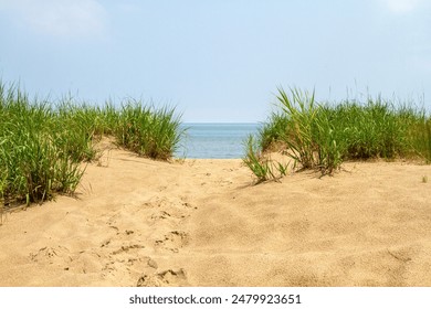 Turkey Point, Lake Erie, Ontario, Canada. Public beach access. Sand sandy dune dunes grass grasses. Footsteps footprints path. Water blue sky horizon. No people. Natural beauty landscape. Summer. - Powered by Shutterstock