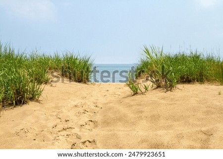 Similar – Image, Stock Photo Sand dunes and beach at the Baltic Sea Germany. Seascape, sand dune landscape with beach and blue sea.