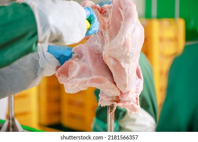 Turkey Production Process, Turkey Poultry Farm, Worker Cuts Poultry Meat