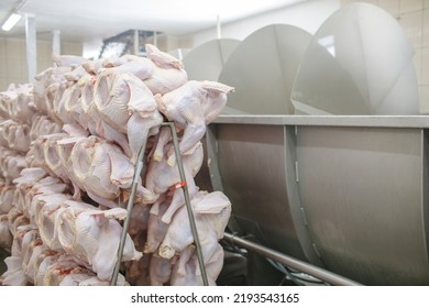 Turkey Production Process, Turkey Poultry Farm, Worker Cuts Poultry Meat