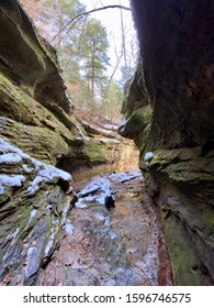 Turkey Run State Park In Winter