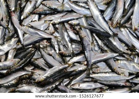 Similar – Image, Stock Photo ANCHOA CLUSTER Chrome