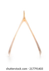 Turkey Wishbone Isolated On White Background