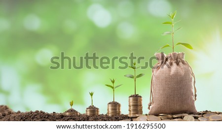 Turkish coins in linen sack. Young plants growing on coins. Investment and Finance Concept