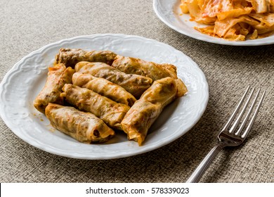 Turkish Dolma Lahana Sarmasi / Cabbage Rolls.
