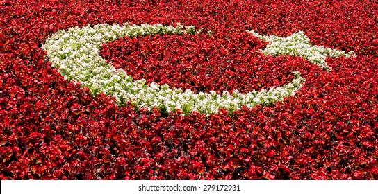Turkish flag made of flowers