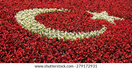Similar – Image, Stock Photo Turkish Flag hanging out the car window