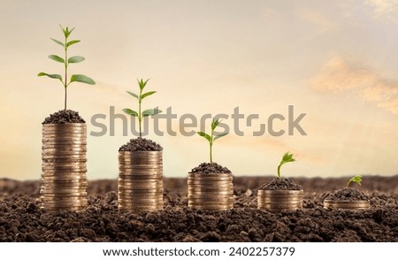 Turkish stack coins. Drying trees on a dwindling pile of Turkish coins. The concept of finance, financial crisis and economic decline. Türkiye economy problems
