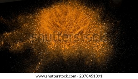 Turmeric, curcuma longa, Powder Exploding against Black Background, Indian Spice