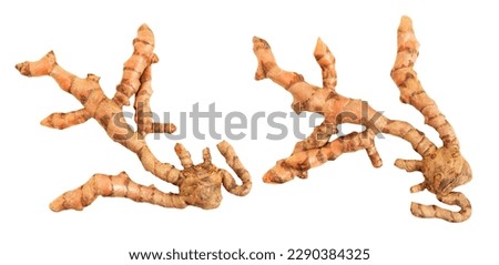 Turmeric rhizomes isolated on white with clipping path.