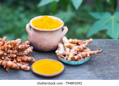 3,328 Curcuma longa plant Images, Stock Photos & Vectors | Shutterstock