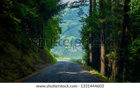 Similar – Image, Stock Photo Forest road landscape with couple riding motorbike