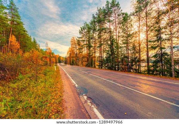 Turn the country
broken road. Mixed forest. Sunset over the forest lake. Autumn
weather. Beautiful nature. Russia, Europe. View from the side of
the road. Orange-purple
toning.