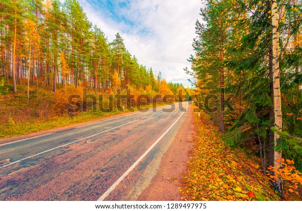 Turn the country broken\
road. Mixed forest. Cloudy weather. Autumn weather. Beautiful\
nature. Russia, Europe. View from the side of the road.\
Orange-purple toning.