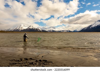 Turnagain Arm, Alaska, USA - May 23 2017: Local Residents Practice A Net Fishing Method From Their Native American Tribe Heritage.