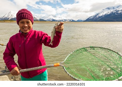 Turnagain Arm, Alaska, USA - May 23 2017: Local Residents Practice A Net Fishing Method From Their Native American Tribe Heritage.