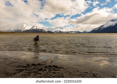 Turnagain Arm, Alaska, USA - May 23 2017: Local Residents Practice A Net Fishing Method From Their Native American Tribe Heritage.