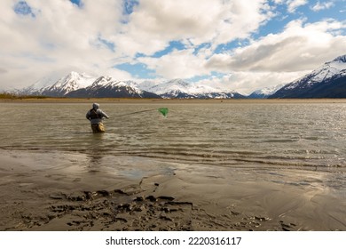 Turnagain Arm, Alaska, USA - May 23 2017: Local Residents Practice A Net Fishing Method From Their Native American Tribe Heritage.