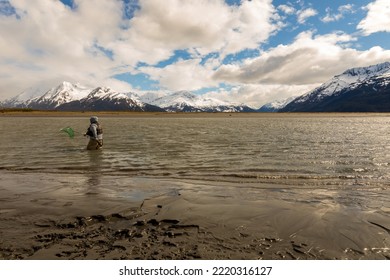 Turnagain Arm, Alaska, USA - May 23 2017: Local Residents Practice A Net Fishing Method From Their Native American Tribe Heritage.