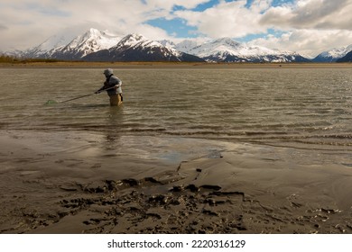 Turnagain Arm, Alaska, USA - May 23 2017: Local Residents Practice A Net Fishing Method From Their Native American Tribe Heritage.