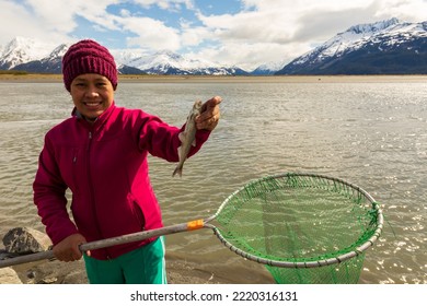 Turnagain Arm, Alaska, USA - May 23 2017: Local Residents Practice A Net Fishing Method From Their Native American Tribe Heritage.