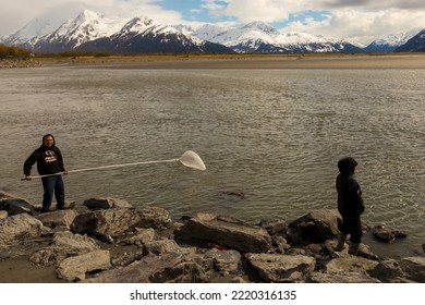 Turnagain Arm, Alaska, USA - May 23 2017: Local Residents Practice A Net Fishing Method From Their Native American Tribe Heritage.