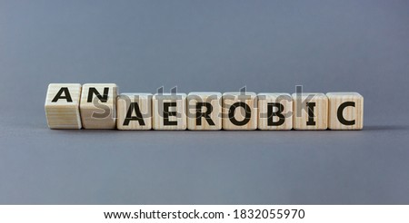 Turned a cube and changed the expression 'aerobic' to 'anaerobic', or vice versa. Beautiful grey background. Business concept. Copy space.