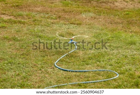 Similar – Image, Stock Photo Garden hose lies on a square terrace of stone tiles in a well-kept garden with lawn and a planting strip
