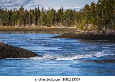 Turning Tide At Reversing Falls