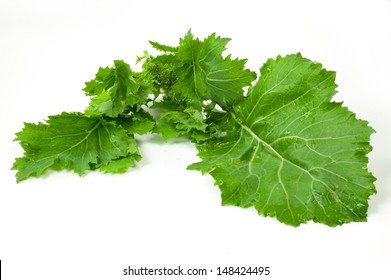 Turnip Greens