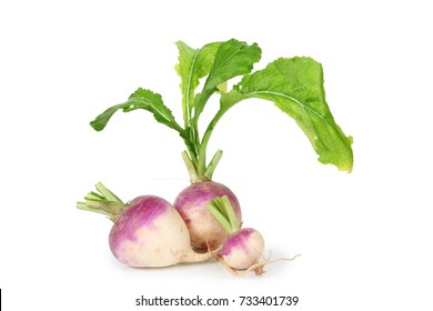 
				turnip on white background