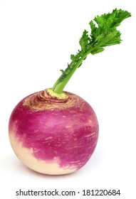 Turnip Over White Background