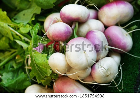 Turnips, brassica rapa   ingredient restaurant