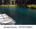 Turquoise and clear water entices visitors to rent a boat and explore Clear Lake in Oregon.  Oars sit waiting in aluminum row boat.