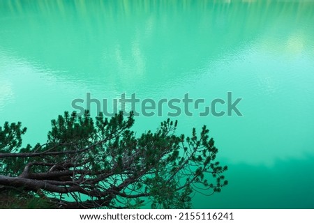 Turquoise color lake . Branches with water at background 