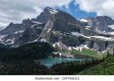 445 Beargrass Images, Stock Photos & Vectors | Shutterstock