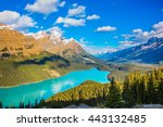 Turquoise Lake Peyto in Banff National Park, Canada. Mountain Lake as a "fox head" is popular among tourists