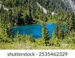 Turquoise Lake surrounded by Pine Forest, Olympic National Park, Washington, USA