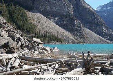 Turquoise lake waters meet a rocky shore littered with driftwood, backed by a steep, tree-lined mountain. - Powered by Shutterstock