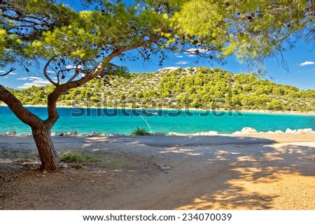 Turquoise pine tree beach of Croatia, Island of Murter in Dalmatia