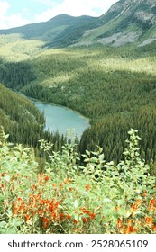 A turquoise river flows through a pine forest, surrounded by towering mountains in BC. Bright red flowers in the foreground add vibrant color to the serene and picturesque landscape.