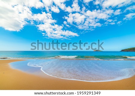 Turquoise sea and golden sand in beautiful La Perle beach, Guadeloupe. Lesser Antilles, Caribbean sea