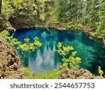 Turquoise waters of the Tamolitch "Blue" Pool from the McKenzie River