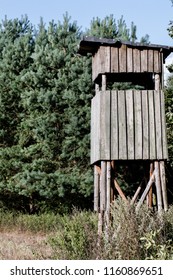 Turret For Naturalistic Observation In The Middle Of The Forest. Wooden Viewing Point For Animals And Birdwatching In A Plain Next To A Coniferous Forest