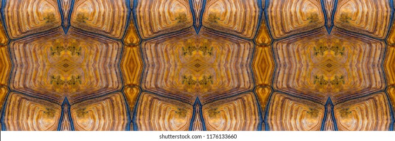 Turtle carapace, Close up texture and pattern of turtle shell in panoramic view use for web design and abstract background