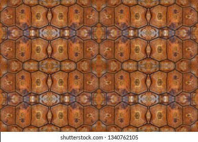 Turtle carapace, Close up texture and pattern of turtle shell use for web design and abstract background