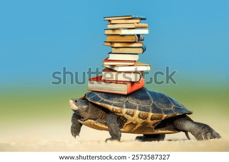 Turtle carrying a stack of books on its shell, creative educational concept.