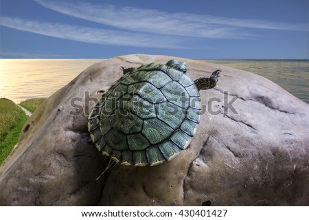 Foto Bild Hans-Guck-in-die-Luft