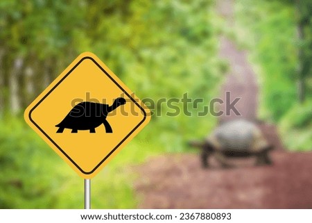 Turtle Crossing Road Sign in the Forest